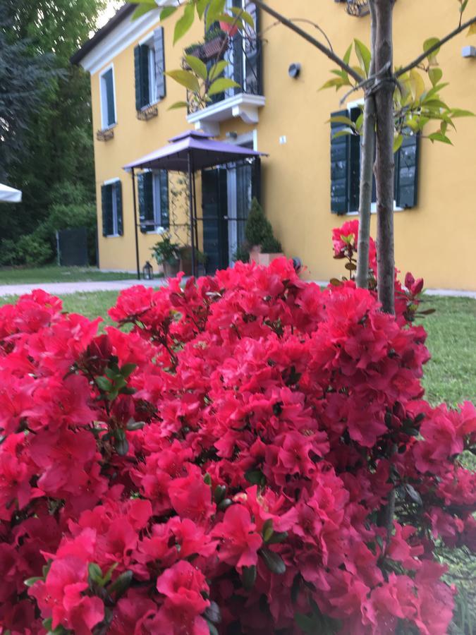 Medoacvs B&B Stra Exteriör bild
